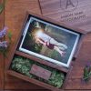 Walnut Wood Photo Print Proof Box