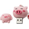 custom shaped flash drives
