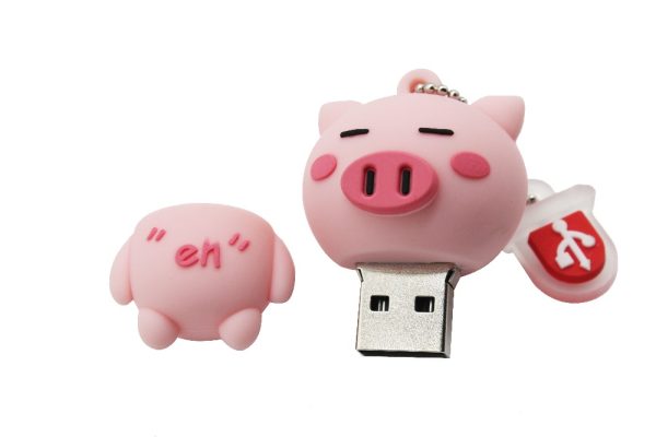 custom shaped flash drives