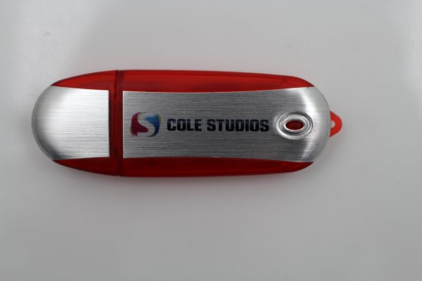 flash drives bulk with logo
