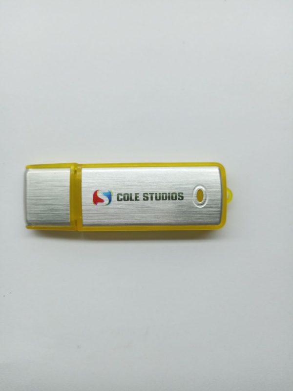 logo printed usb